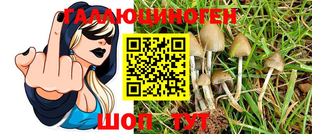 как найти   Псилоцибиновые грибы Psilocybe  Вход с VPN  Псилоцибиновые грибы мухоморы  Мончегорск 